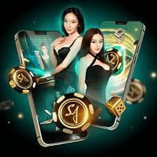 xin881